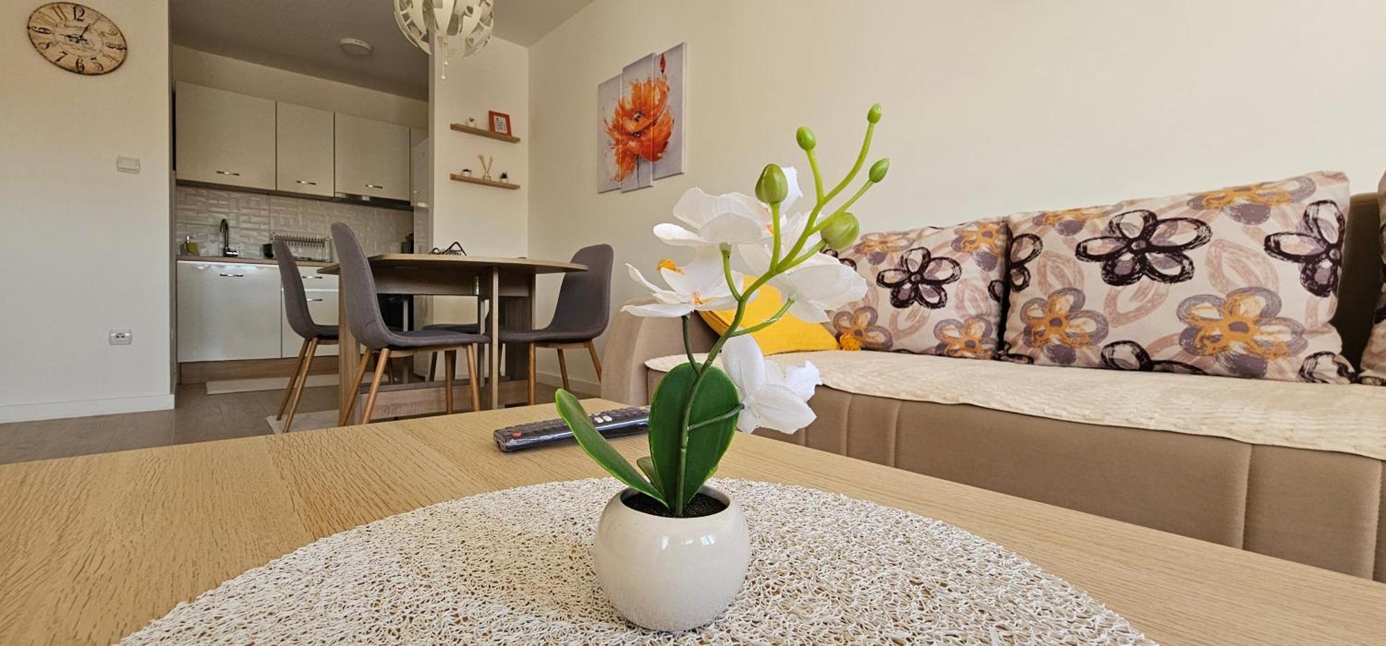 Apartman Vukota 2 Πίροτ Εξωτερικό φωτογραφία