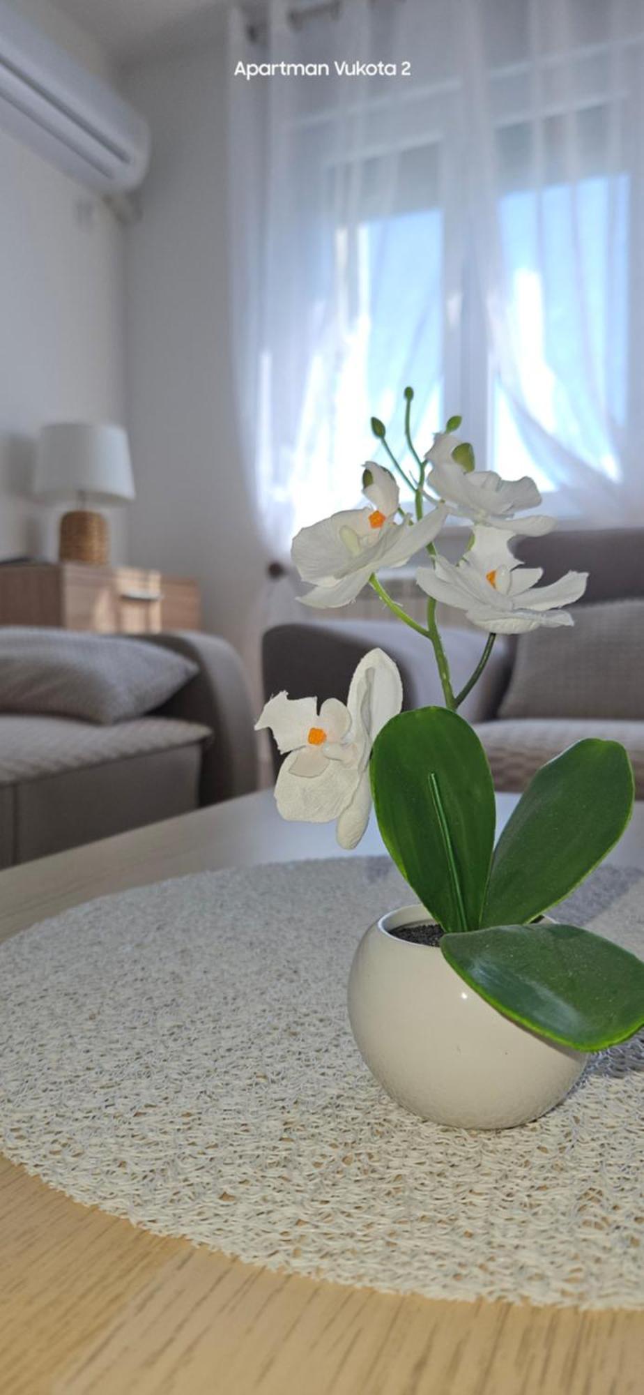Apartman Vukota 2 Πίροτ Εξωτερικό φωτογραφία